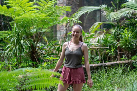 Full-Day Guided Hinterland Adventure Tour In Queensland - Accommodation Directory 0