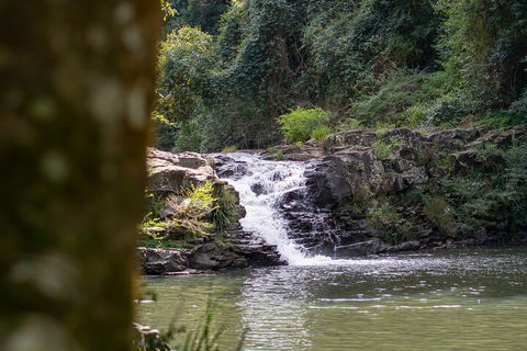 Full-Day Guided Hinterland Adventure Tour In Queensland - Accommodation Directory 1