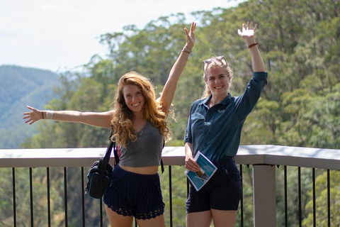 Full-Day Guided Hinterland Adventure Tour In Queensland - Accommodation Directory 3