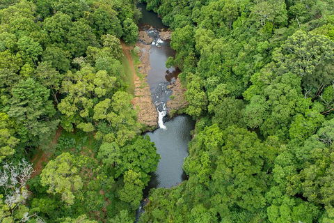 Full-Day Guided Hinterland Adventure Tour In Queensland - Accommodation Directory 4