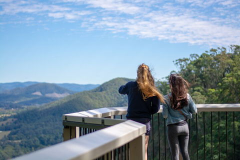 Full-Day Guided Hinterland Adventure Tour In Queensland - Accommodation Directory 5