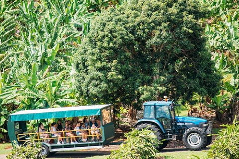 Tropical Fruit World With Wildlife Boat Cruise From Gold Coast - Accommodation Directory 1