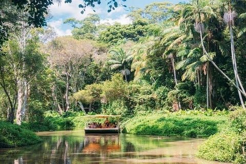 Tropical Fruit World With Wildlife Boat Cruise From Gold Coast - Accommodation Directory 3