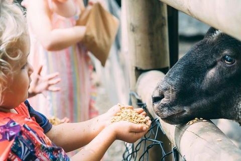 Tropical Fruit World With Wildlife Boat Cruise From Gold Coast - Accommodation Directory 5