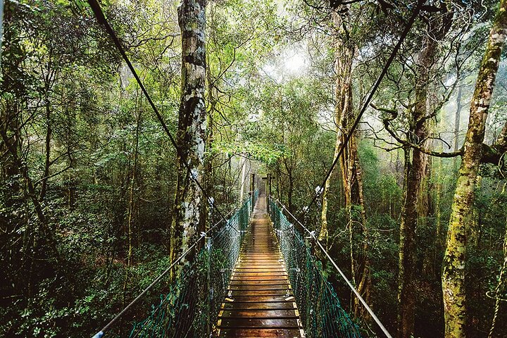 Bundall QLD Accommodation Directory