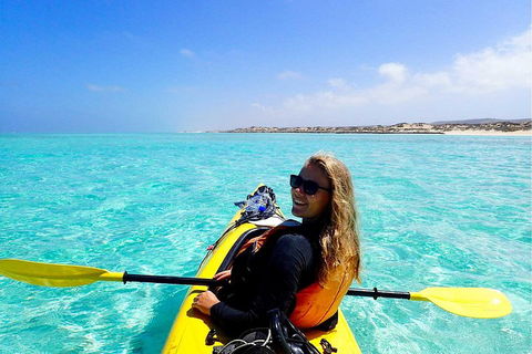 Lagoon Explorer - Ningaloo Reef Full-Day Kayaking And Snorkeling Adventure - Accommodation Directory 1
