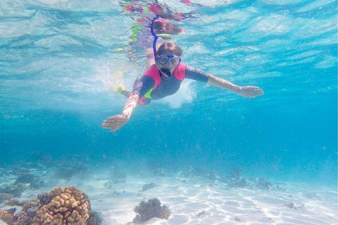 Lagoon Explorer - Ningaloo Reef Full-Day Kayaking And Snorkeling Adventure - Accommodation Directory 5