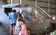 Darwin City Sightseeing Tour - thumb 2