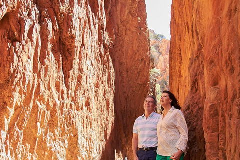 Best Of Alice Springs Full Day Tour - Accommodation Directory 4