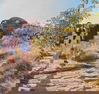 Kings Canyon Day Trip from Ayers Rock Uluru - Accommodation Directory