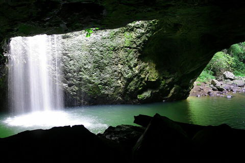Natural Bridge & Springbrook Waterfalls Tour + Hot Air Balloon With Breakfast - Accommodation Directory 2