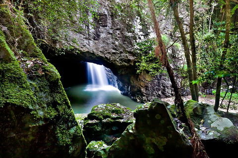 Natural Bridge & Springbrook Waterfalls Tour + Hot Air Balloon With Breakfast - Accommodation Directory 4