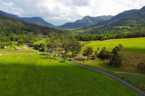 Natural Bridge & Springbrook Waterfalls Tour - Accommodation Directory 2