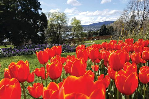 Hobart City Sightseeing Tour Including MONA Admission - Accommodation Directory 4