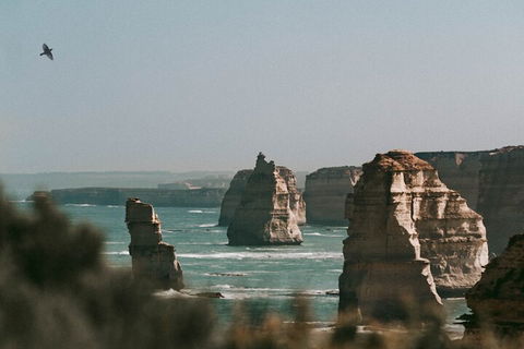 Half-Day Or Full-Day Tour With Private Guide From Melbourne - Accommodation Directory 0