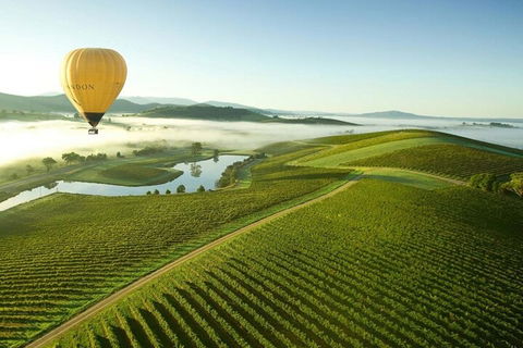 Half-Day Or Full-Day Tour With Private Guide From Melbourne - Accommodation Directory 4