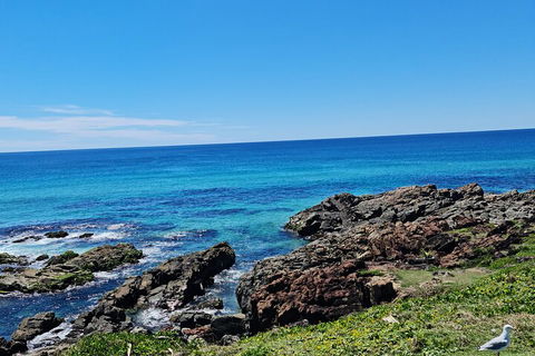 Private Custom Byron Bay Day Out - Accommodation Directory 4