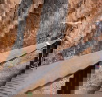 Chillagoe Caves and Outback Day Trip from Cairns - Accommodation Directory
