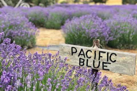 Kangaroo Island Food And Wine Trail Tour - Accommodation Directory 0