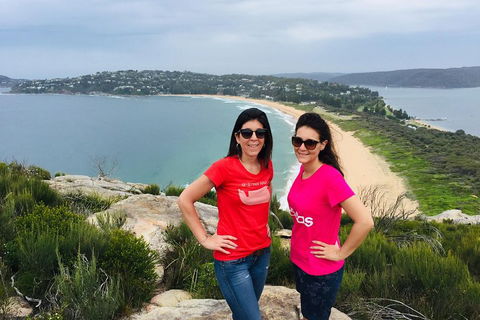 Small-Group Sydney's Northern Beaches And Ku-ring-gai National Park Bus Tour - Accommodation Directory 3