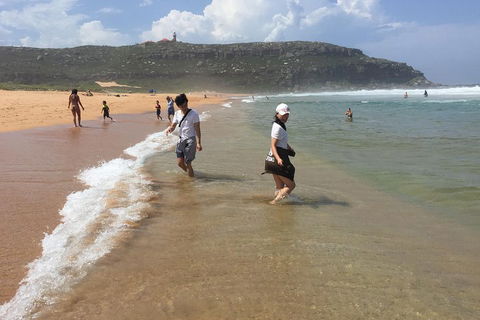 Small-Group Sydney's Northern Beaches And Ku-ring-gai National Park Bus Tour - Accommodation Directory 5