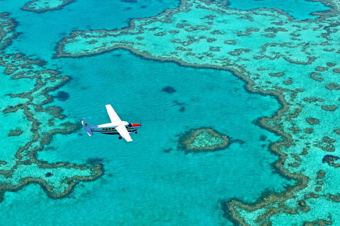 Reef And Island Scenic Flight From Airlie Beach - Accommodation Directory 4