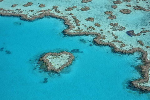 Reef And Island Scenic Flight From Airlie Beach - Accommodation Directory 5