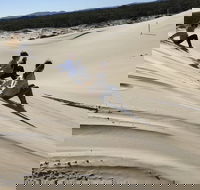 Port Stephens Bush Beach and Sand Dune 4WD Tag-Along Tour - Accommodation Directory