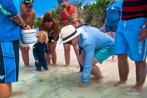 Whitehaven Beach And Hamilton Island Cruise - Accommodation Directory 1