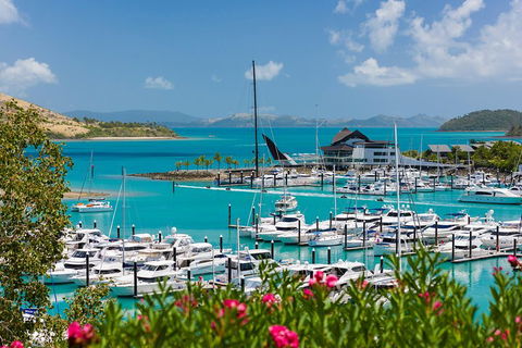 Whitehaven Beach And Hamilton Island Cruise - Accommodation Directory 3