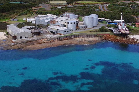 Albany's Whale Story - Accommodation Directory 4