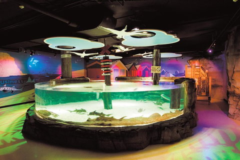 SEA LIFE Melbourne Aquarium Admission Ticket - Accommodation Directory 5