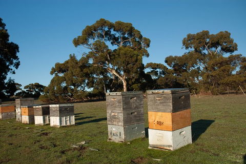 Fine Flavours - Full Day Kangaroo Island Food & Wine Tour - Accommodation Directory 1