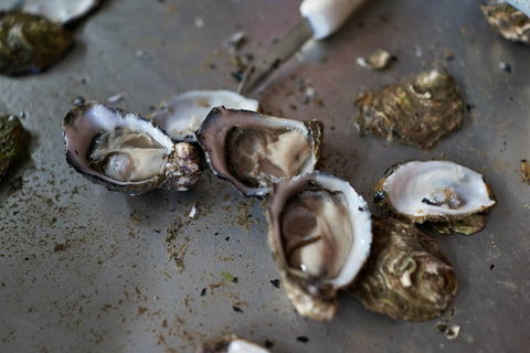 Fine Flavours - Full Day Kangaroo Island Food & Wine Tour - Accommodation Directory 2