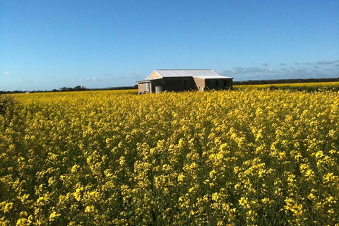 Fine Flavours - Full Day Kangaroo Island Food & Wine Tour - Accommodation Directory 3