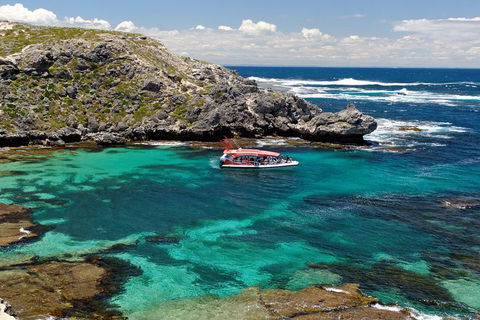 Adventure Rottnest Tour With Ferry & Adventure Cruise From Perth Or Fremantle - Accommodation Directory 5