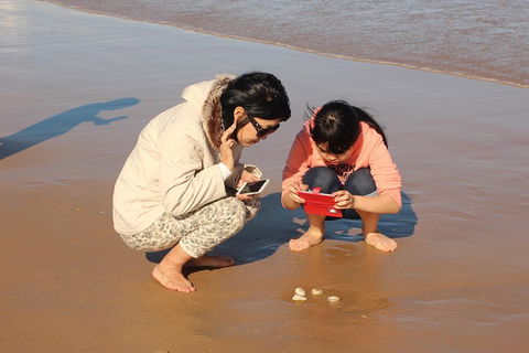 Beach & Dune - Accommodation Directory 2