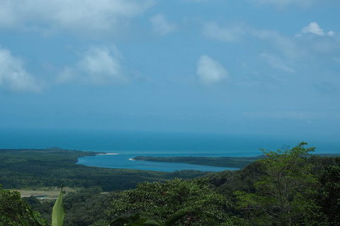 Cape Tribulation, Daintree Rainforest And Wildlife Tour - Accommodation Directory 1