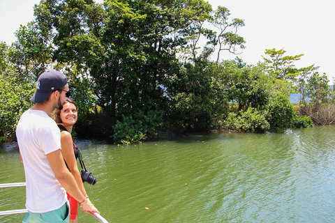 Cape Tribulation, Daintree Rainforest And Wildlife Tour - Accommodation Directory 2