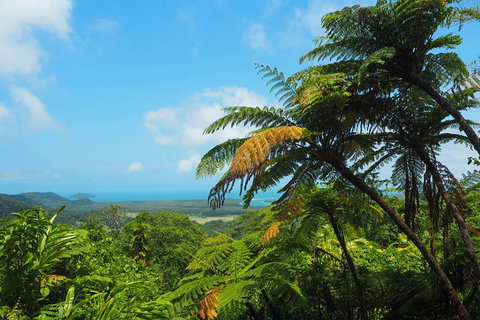 Cape Tribulation, Daintree Rainforest And Wildlife Tour - Accommodation Directory 3