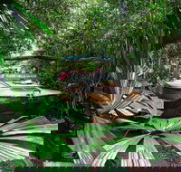 Kuranda Rainforestation  Kuranda Scenic Rail - Accommodation Directory