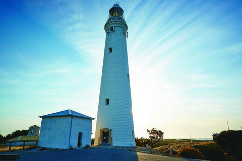 Rottnest Bayseeker Bus Tour From Hillarys Boat Harbour - Accommodation Directory 2