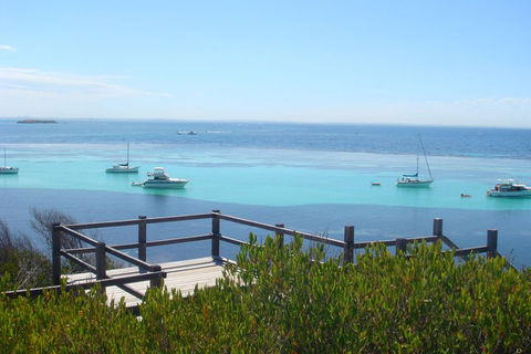 Rottnest Bayseeker Bus Tour From Hillarys Boat Harbour - Accommodation Directory 3