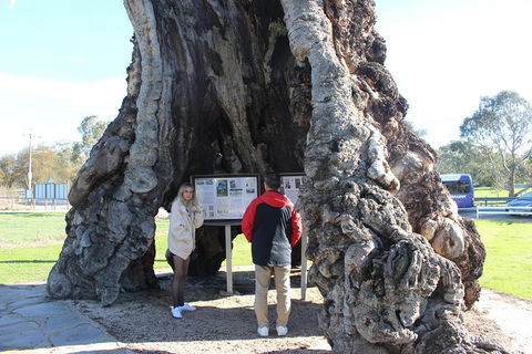 Barossa And Hahndorf Day Trip From Adelaide Including Wine Tasting And Lunch - Accommodation Directory 1