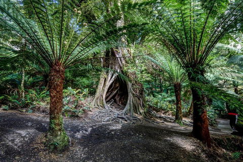 Adelaide To Melbourne 3-Day Trip Through Grampians And Great Ocean Road - Accommodation Directory 0