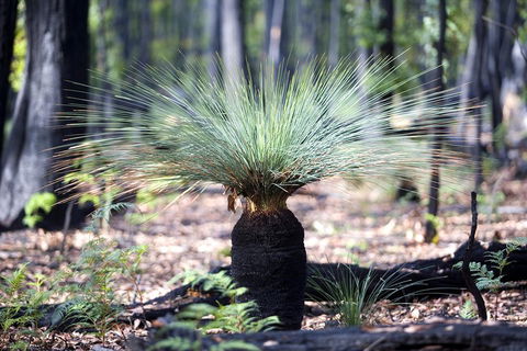 Adelaide To Melbourne 3-Day Trip Through Grampians And Great Ocean Road - Accommodation Directory 4