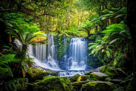 Day Tour In Mt. Field, Mt. Wellington, Bonorong Wildlife Sanctuary And Richmond - Accommodation Directory 0