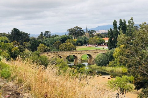 Day Tour In Mt. Field, Mt. Wellington, Bonorong Wildlife Sanctuary And Richmond - Accommodation Directory 3