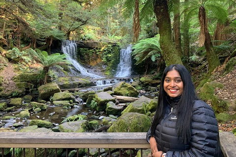 Day Tour In Mt. Field, Mt. Wellington, Bonorong Wildlife Sanctuary And Richmond - Accommodation Directory 5