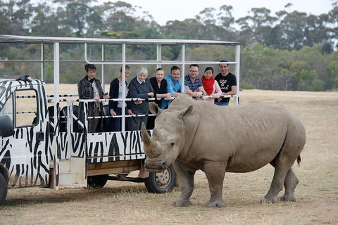 Off-Road Safari At Werribee Open Range Zoo - Accommodation Directory 0